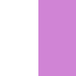 White Pink